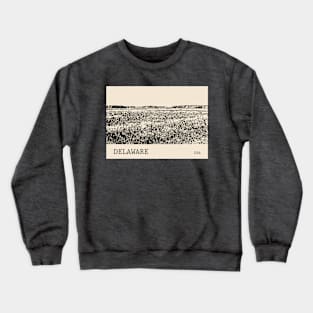 Delaware USA Crewneck Sweatshirt